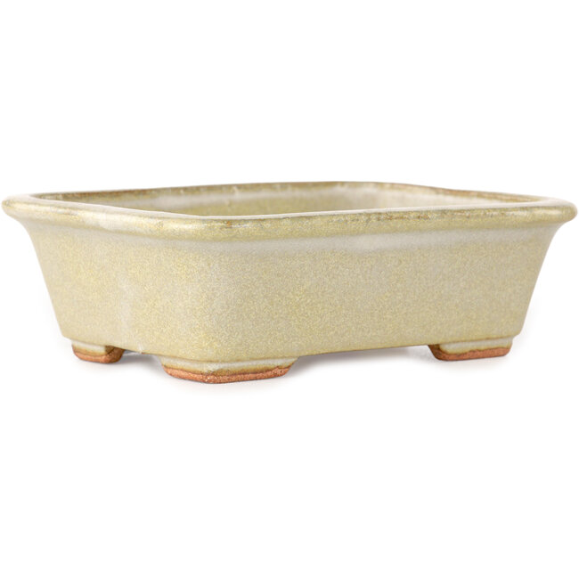 Vaso bonsai rettangolare bianco sporco di Hattori - 133 x 100 x 43 mm