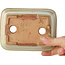 Rechteckiger, cremefarbener Bonsai-Topf von Hattori – 133 x 100 x 43 mm