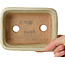 Rechteckiger, cremefarbener Bonsai-Topf von Hattori – 133 x 100 x 43 mm
