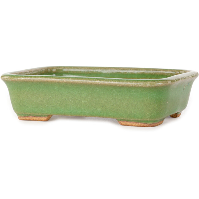 Pot à bonsaï rectangulaire vert de Hattori - 142 x 107 x 37 mm