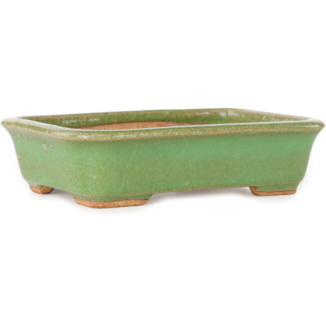 Rechteckiger grüner Bonsai-Topf von Hattori – 142 x 107 x 37 mm