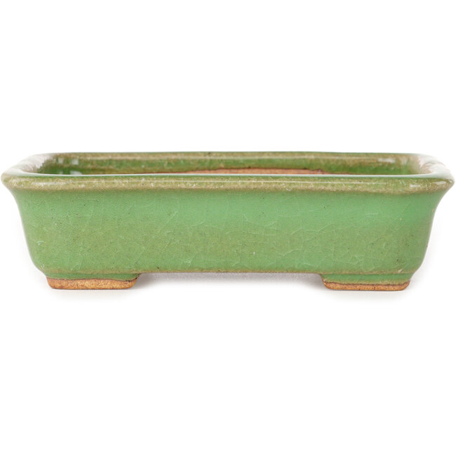 Pot à bonsaï rectangulaire vert de Hattori - 142 x 107 x 37 mm