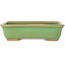 Vaso bonsai rettangolare verde di Hattori - 142 x 107 x 37 mm