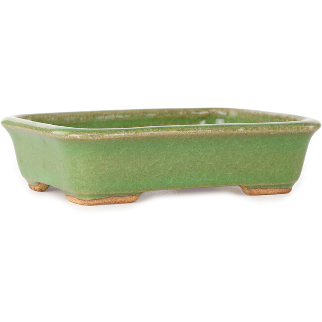 Maceta rectangular verde para bonsái de Hattori - 142 x 107 x 37 mm