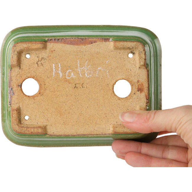Rectangular green bonsai pot by Hattori - 142 x 107 x 37 mm