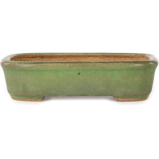  Hattori Tomoyuki Pot à bonsaï vert rectangulaire de 133 mm par Hattori, Tokoname, Japon