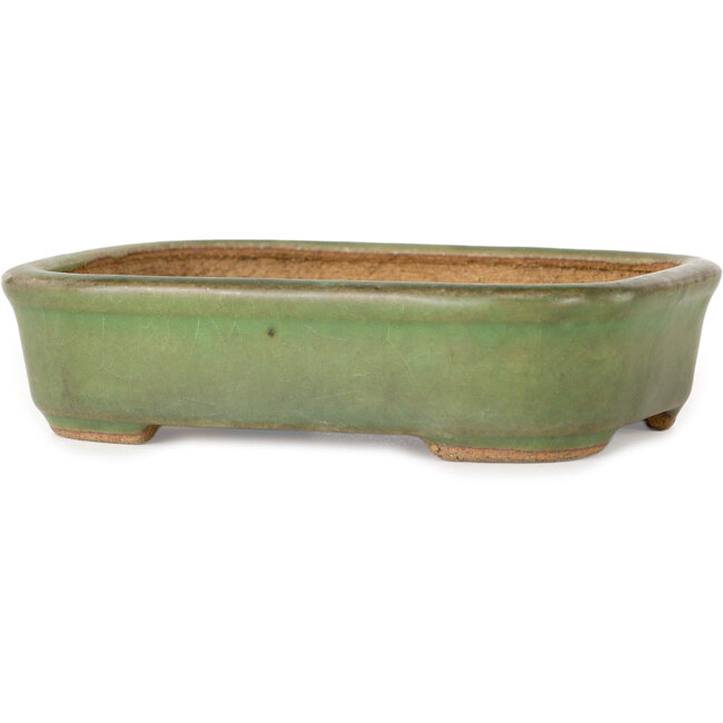 Vaso bonsai rettangolare verde di Hattori - 133 x 100 x 33 mm