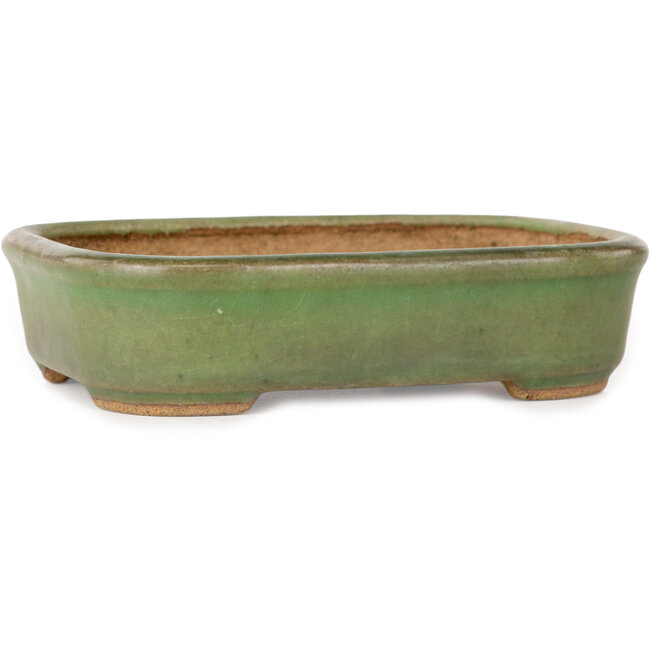 Maceta rectangular verde para bonsái de Hattori - 133 x 100 x 33 mm