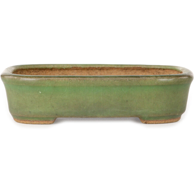 Pot à bonsaï rectangulaire vert de Hattori - 133 x 100 x 33 mm
