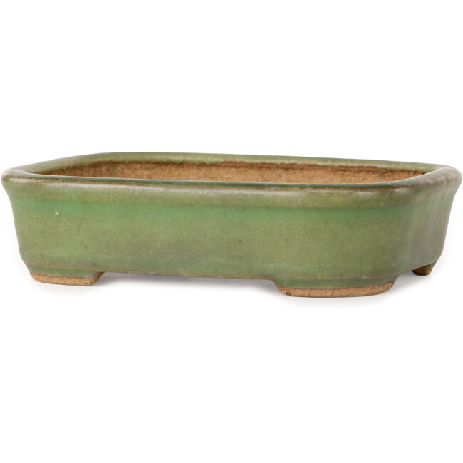 Rechthoekige groene bonsaipot van Hattori - 133 x 100 x 33 mm