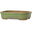 Pot à bonsaï rectangulaire vert de Hattori - 133 x 100 x 33 mm