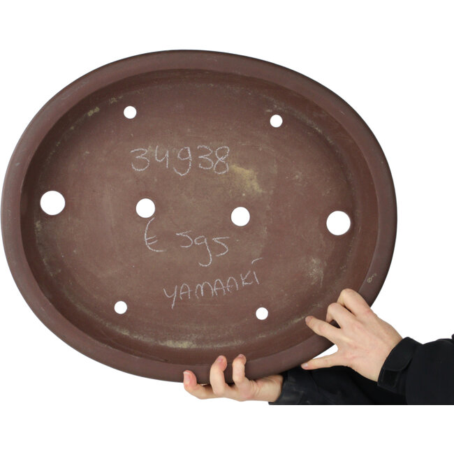 Vaso bonsai ovale non smaltato di Yamaaki Toshio (terza generazione) - 505 x 423 x 107 mm