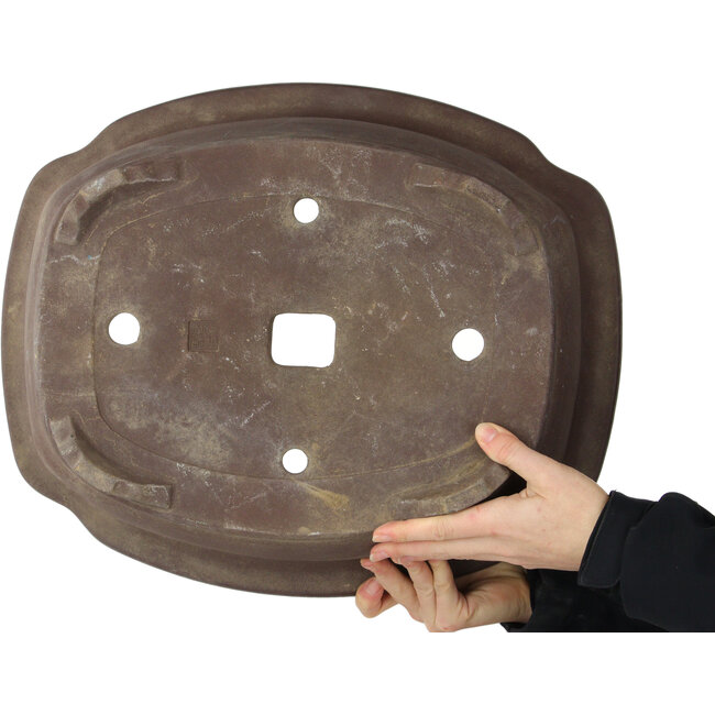 Pot à bonsaï Mokko non émaillé par Izumiya (Zenigo) - 467 x 385 x 162 mm