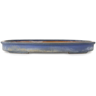  Reihou (Bonsai Matsushita Hiroyuki or Mr.MATSUSHITA Reiji    Master) 585 mm oval blue bonsai pot by Reiho, Tokoname, Japan