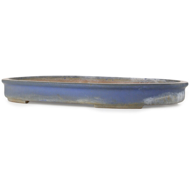Pot ovale bleu pour bonsaï de Reiho - 585 x 410 x 68 mm