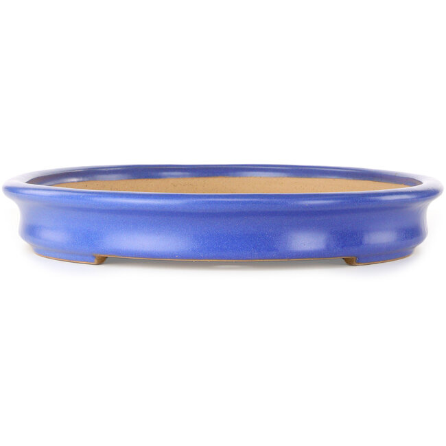Pot ovale bleu pour bonsaï de Reiho - 592 x 430 x 68 mm