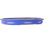 Pot ovale bleu pour bonsaï de Reiho - 592 x 430 x 68 mm