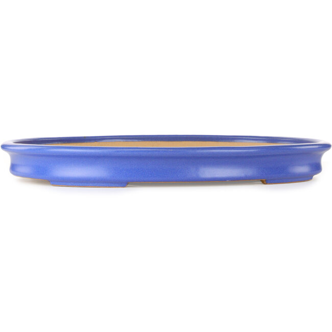 Pot ovale bleu pour bonsaï de Reiho - 592 x 430 x 68 mm