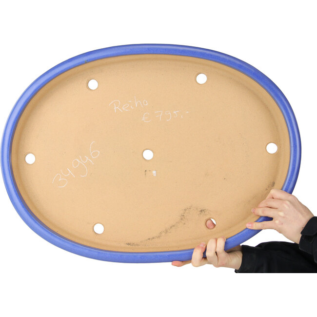 Maceta ovalada azul para bonsái de Reiho - 592 x 430 x 68 mm