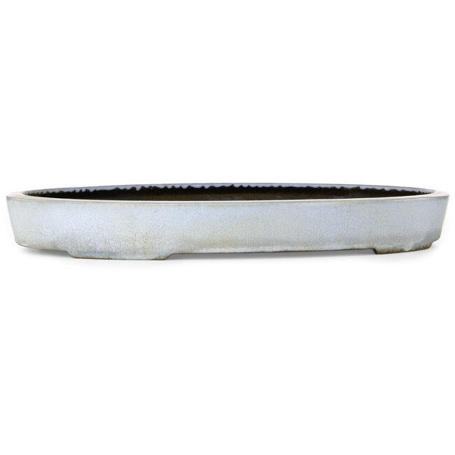 Oval blue bonsai pot by Koyou - 555 x 382 x 60 mm