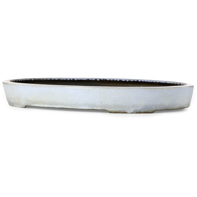 Oval blue bonsai pot by Koyou - 555 x 382 x 60 mm
