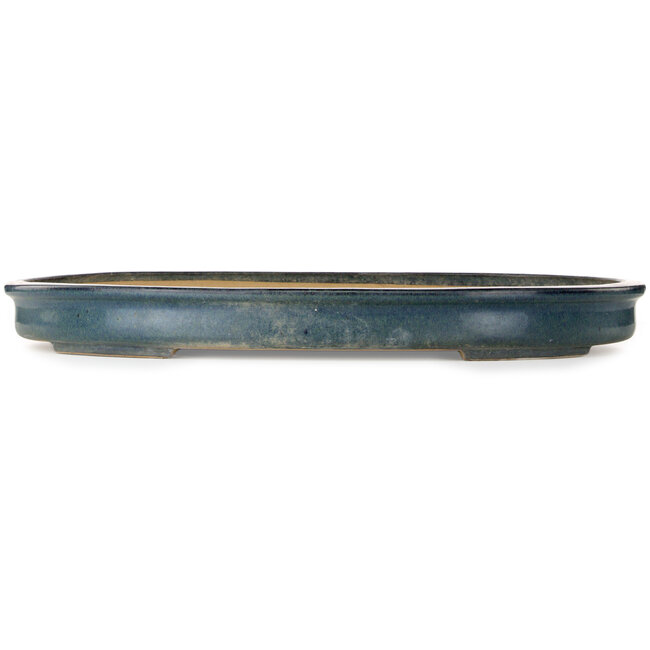 Maceta ovalada azul para bonsái de Reiho - 655 x 462 x 60 mm