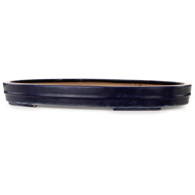 Pot ovale bleu pour bonsaï de Reiho - 577 x 412 x 63 mm
