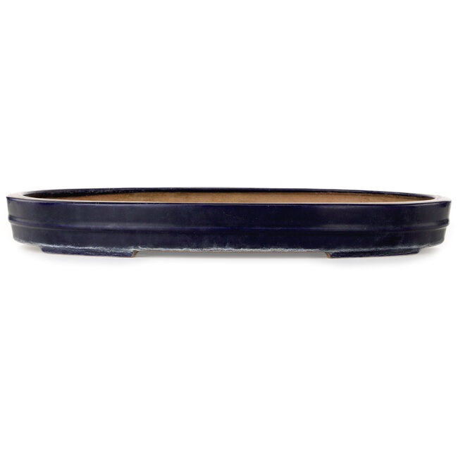 Pot ovale bleu pour bonsaï de Reiho - 577 x 412 x 63 mm