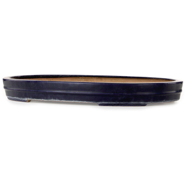 Pot ovale bleu pour bonsaï de Reiho - 577 x 412 x 63 mm