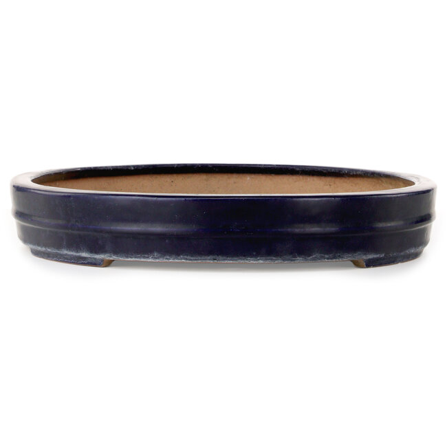 Maceta ovalada azul para bonsái de Reiho - 577 x 412 x 63 mm