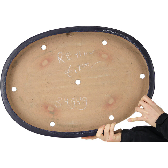 Pot ovale bleu pour bonsaï de Reiho - 577 x 412 x 63 mm