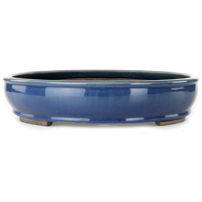 Oval blue bonsai pot - 450 x 370 x 80 mm