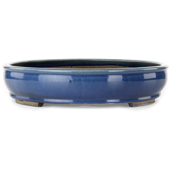 Ovale blauwe bonsaipot - 450 x 370 x 80 mm