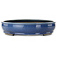 Oval blue bonsai pot - 450 x 370 x 80 mm
