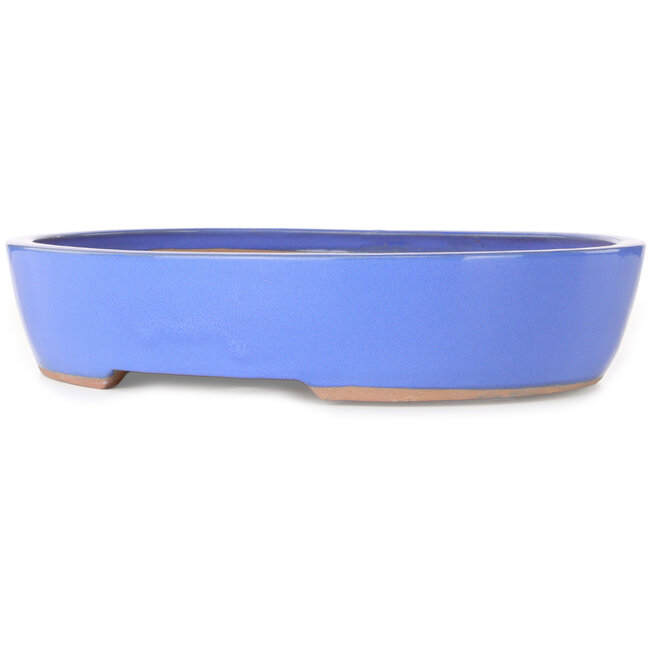 Oval blue bonsai pot - 398 x 317 x 80 mm