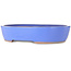 Ovale blauwe bonsaipot - 398 x 317 x 80 mm