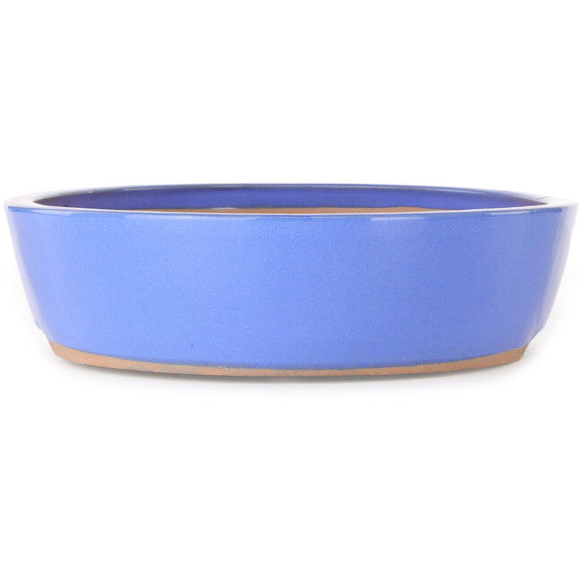 Maceta ovalada azul para bonsái - 398 x 317 x 80 mm