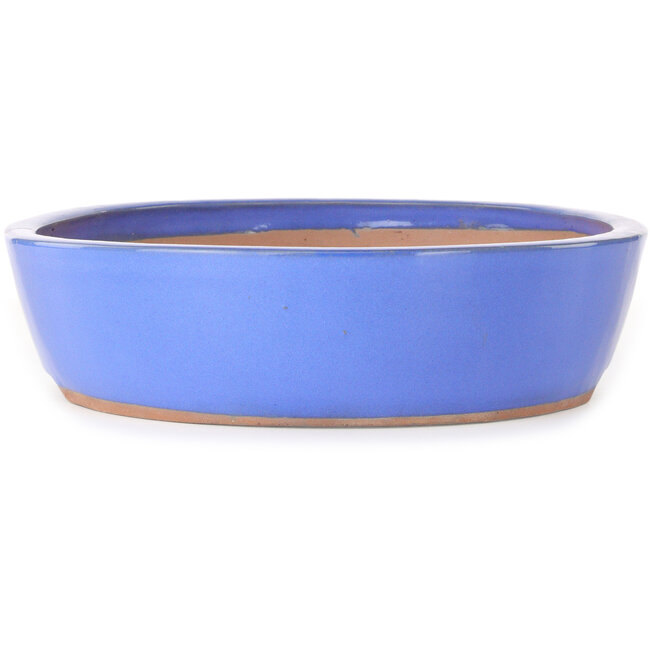 Ovaler blauer Bonsai-Topf – 398 x 317 x 80 mm