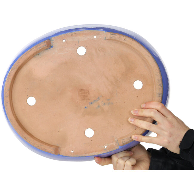 Maceta ovalada azul para bonsái - 398 x 317 x 80 mm