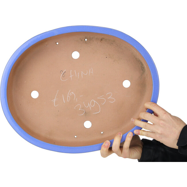 Maceta ovalada azul para bonsái - 398 x 317 x 80 mm