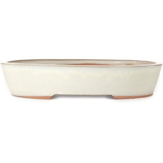 402 mm ovale witte pot uit China