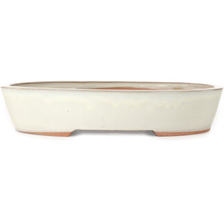 Maceta blanca ovalada de 402 mm de China