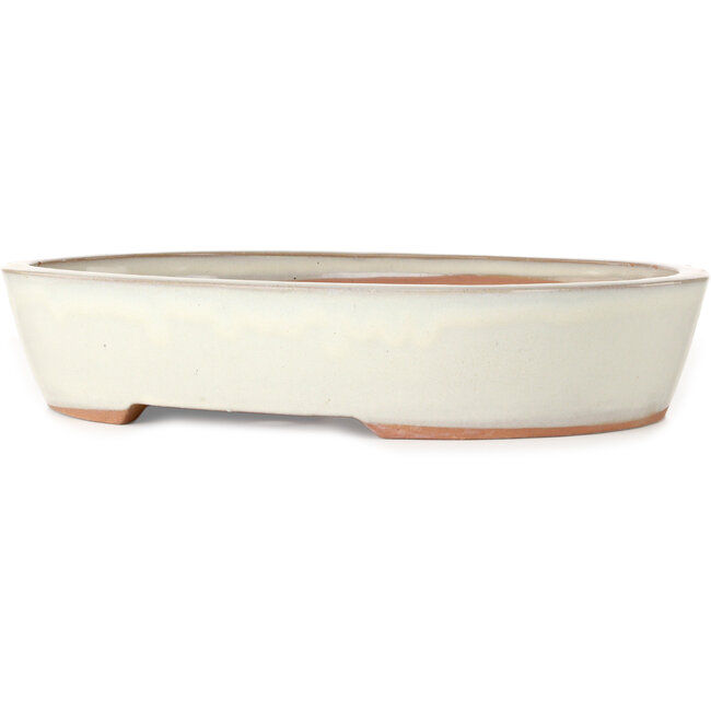 Maceta ovalada blanca para bonsái - 402 x 322 x 78 mm