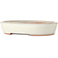 Ovaler weißer Bonsaitopf – 402 x 322 x 78 mm