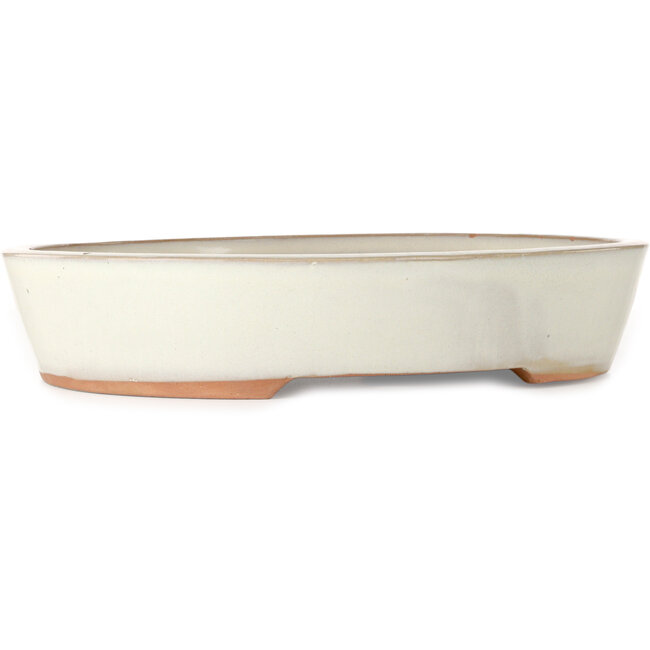 Ovale witte bonsaipot - 402 x 322 x 78 mm