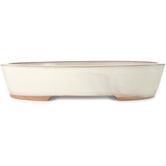 Pot ovale blanc pour bonsaï - 402 x 322 x 78 mm