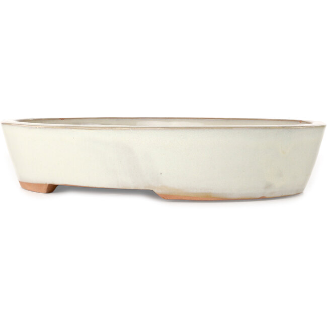 Pot ovale blanc pour bonsaï - 402 x 322 x 78 mm