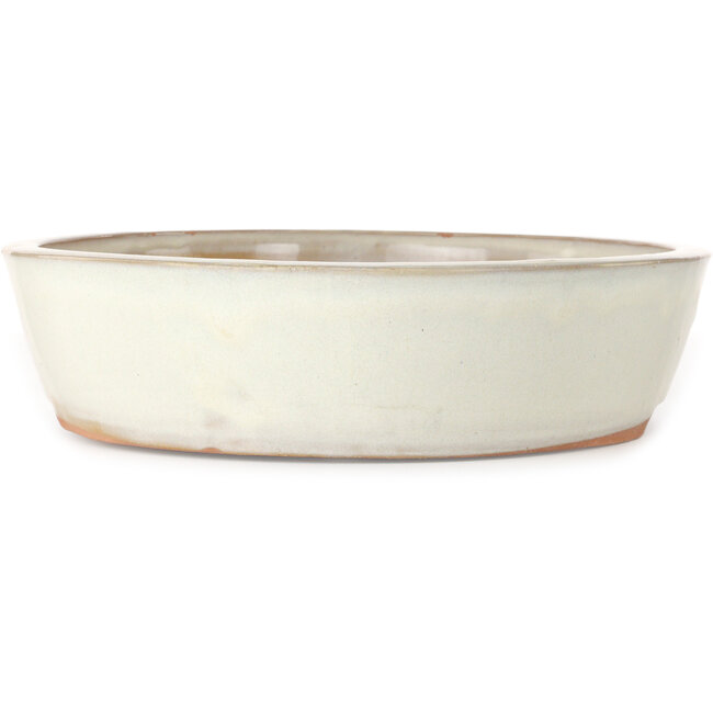 Pot ovale blanc pour bonsaï - 402 x 322 x 78 mm