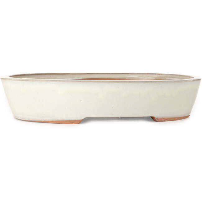 Pot ovale blanc pour bonsaï - 402 x 322 x 78 mm