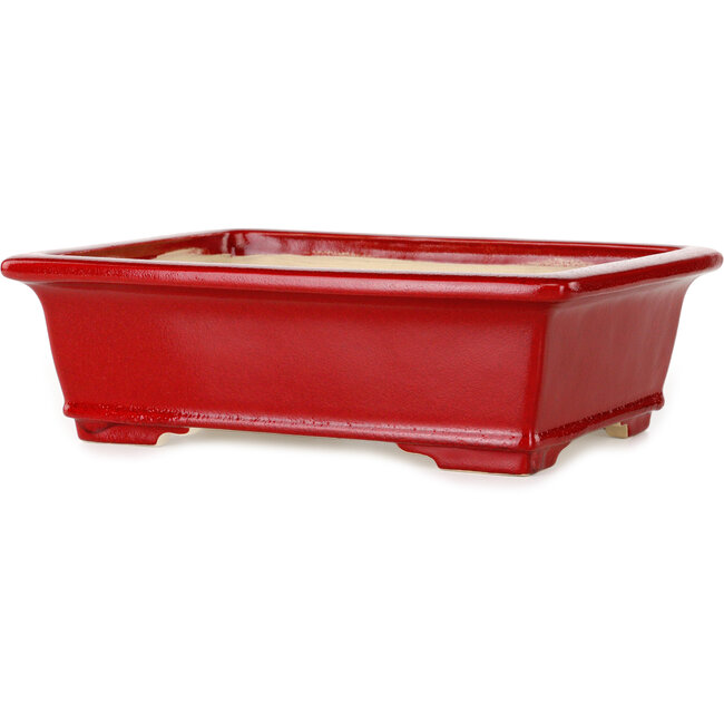 Pot à bonsaï rectangulaire rouge par Eime Yozan - 312 x 245 x 95 mm